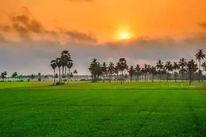 indian-flag-tiranga-made-by-nature-republicday-vijaychowk